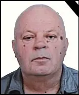 Ivan Leko – Solomunović