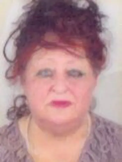 DINA (SULEJMAN) HADŽIĆ rođ. ĆATIĆ - Osmrtnica - Osmrtnica, Sarajevo