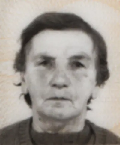 NASIHA (Ismet) LETIĆ - Osmrtnica - Osmrtnica, Sarajevo