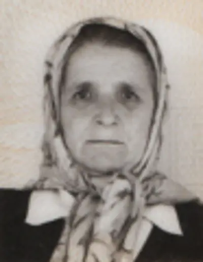 MEVLA AVDIBEGOVIĆ - Osmrtnica