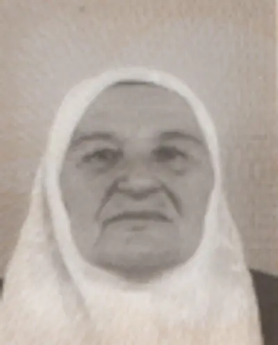 </em></strong><strong><em>hadži ŠEMSA (OMER) SUBAŠIĆ - Osmrtnica - Osmrtnica, Sarajevo