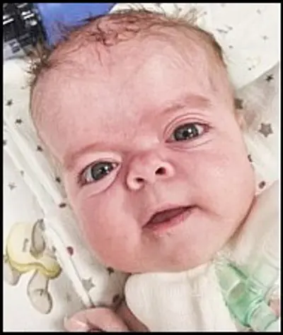 Sofia Lasić (2025-2026) - Osmrtnica